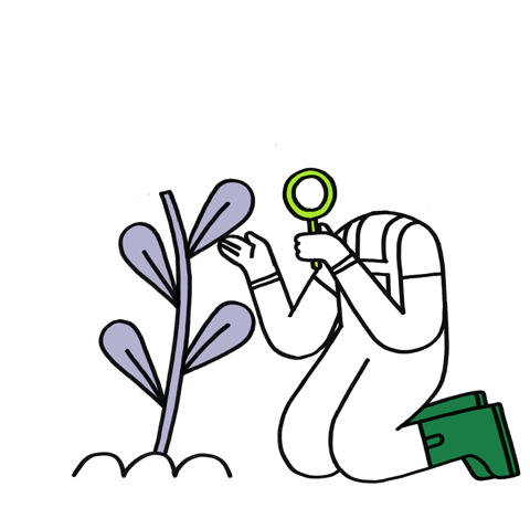 Illustration of a woman checking a humanised flower's leafs with a lupe
