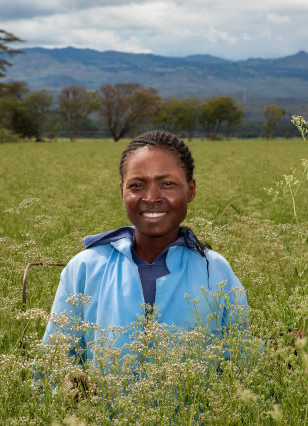 fotomel_2487_dfg_kenia18-sunfloritech-copy